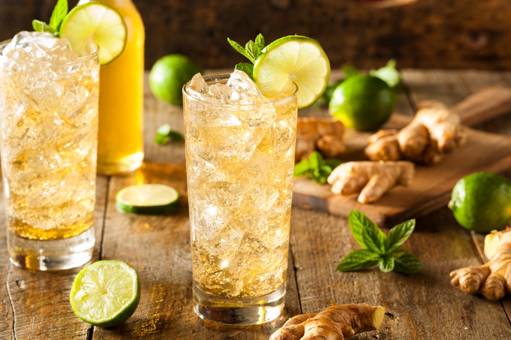 Top 19 Gin Mixers For Fast, Easy And Delicious Drinks Food For Net