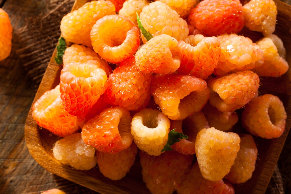 Are Raspberries Good For You? | Food For Net