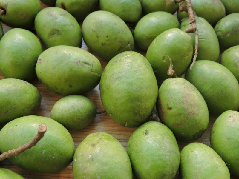 A pile of green jalpai fruits on a wooden table