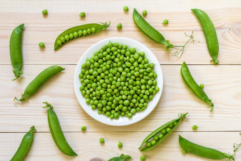 A white bowl of green peas and green peas in their pods around it