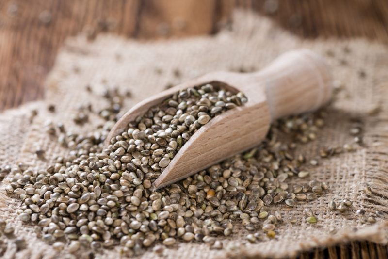 A wooden scoop of hemp seeds on cloth