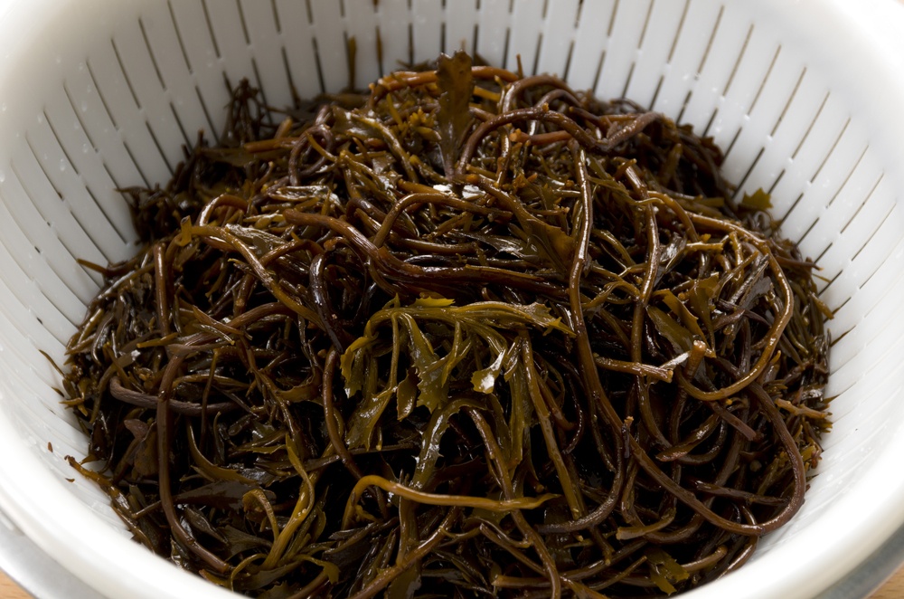 14 Types of Sea Vegetables with Interesting Sea Vegetable Recipes to