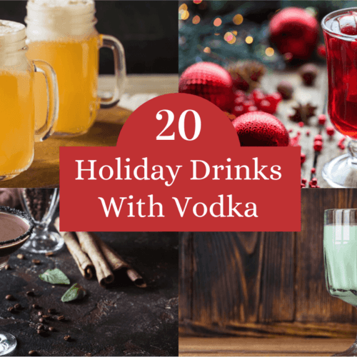 The Best MidRange Vodka Food For Net