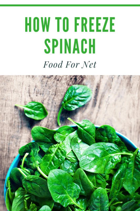 How To Freeze Spinach Food For Net