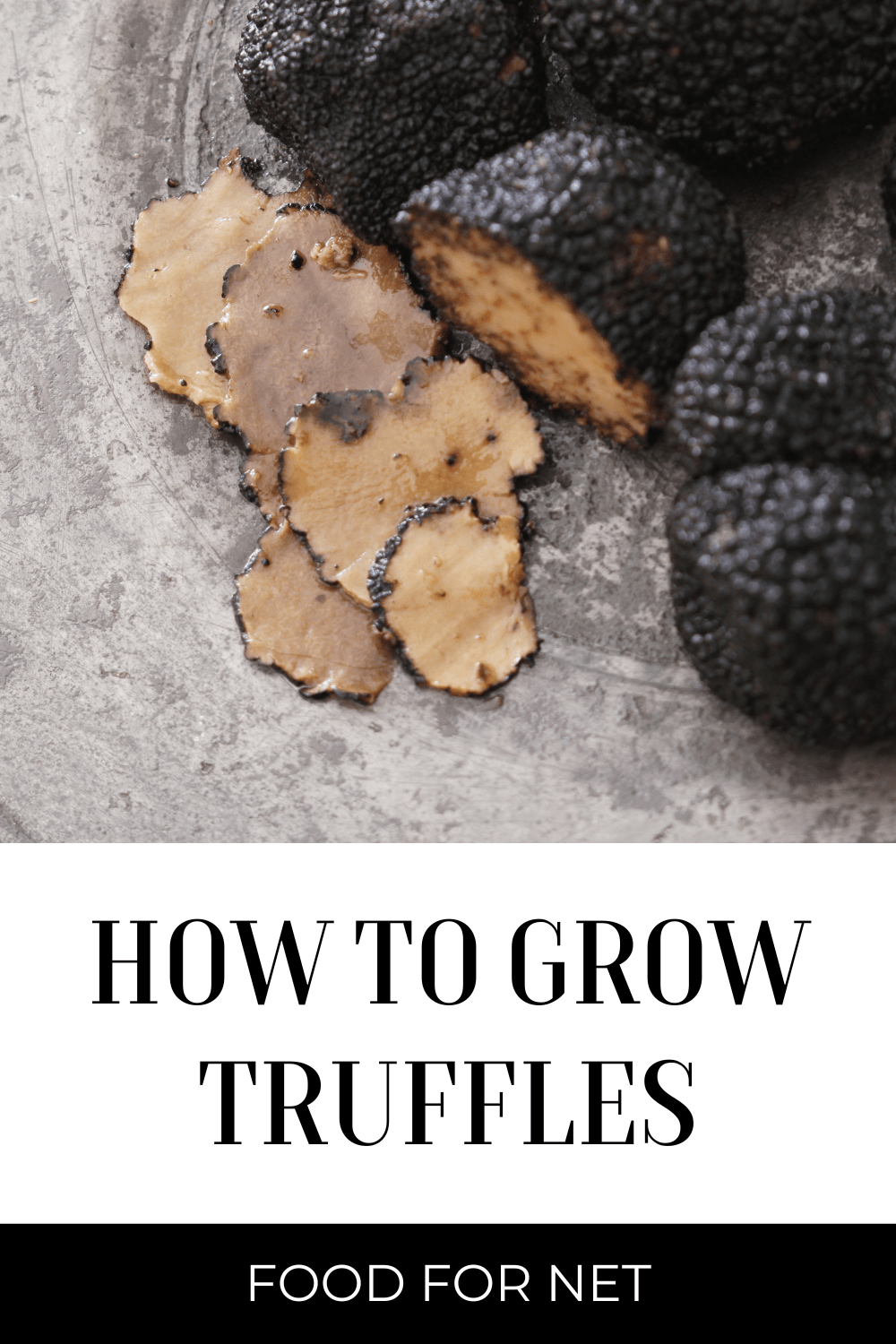 Some whole black truffles, plus sliced black truffles, looking at how to grow truffles