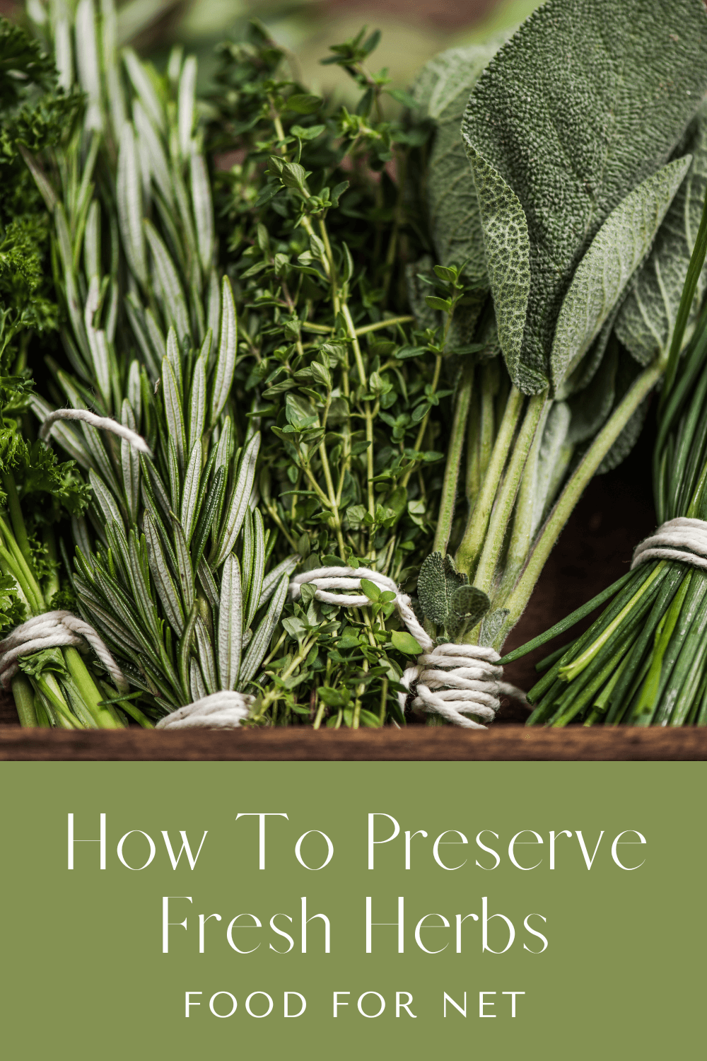 Various bunches of fresh herbs on a table, highlighting how to preserve fresh herbs