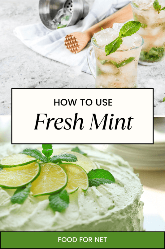 How To Use Fresh Mint Food For Net