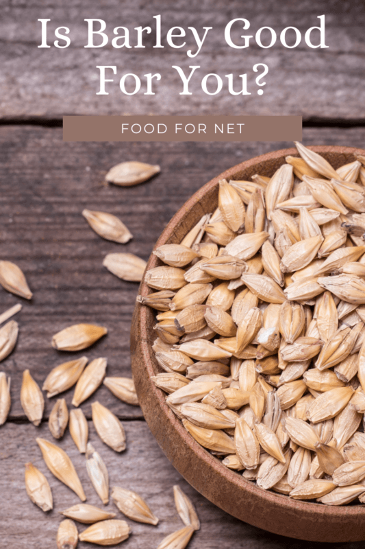 Is Barley Good For You? Food For Net