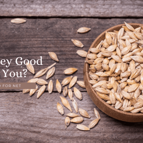 Are Overnight Oats Good For You? Food For Net