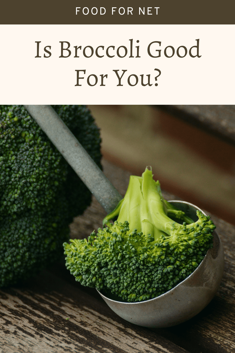 A head of broccoli, with a little broccoli on a spoon, looking at whether broccoli is good for you