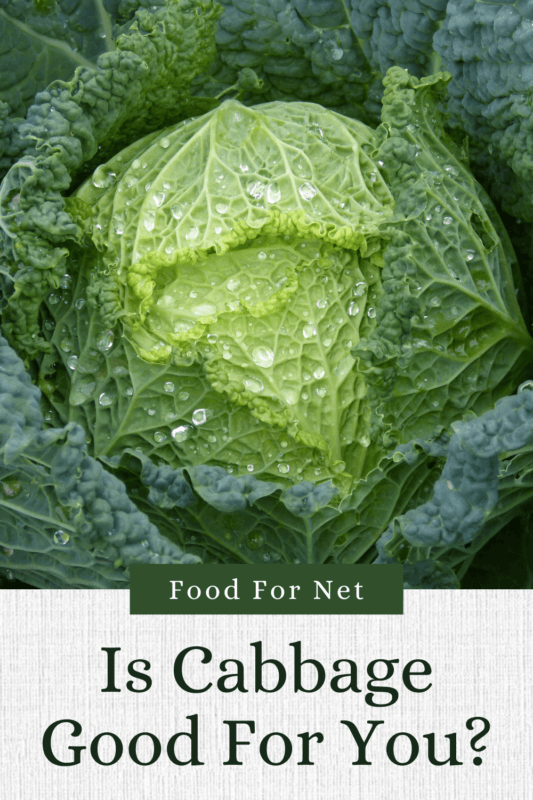 Is Cabbage Good For You? Food For Net