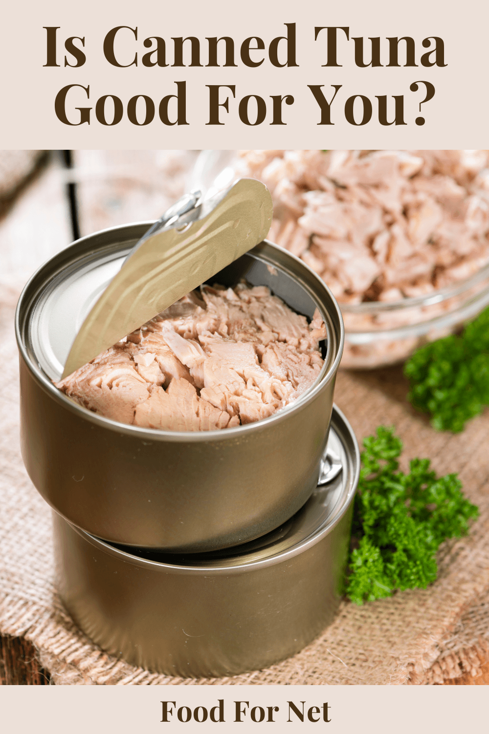 Is Canned Tuna Good For You? A stack of two tuna cans next to a bowl of tuna, highlighting the idea of whether canned tuna is good for you