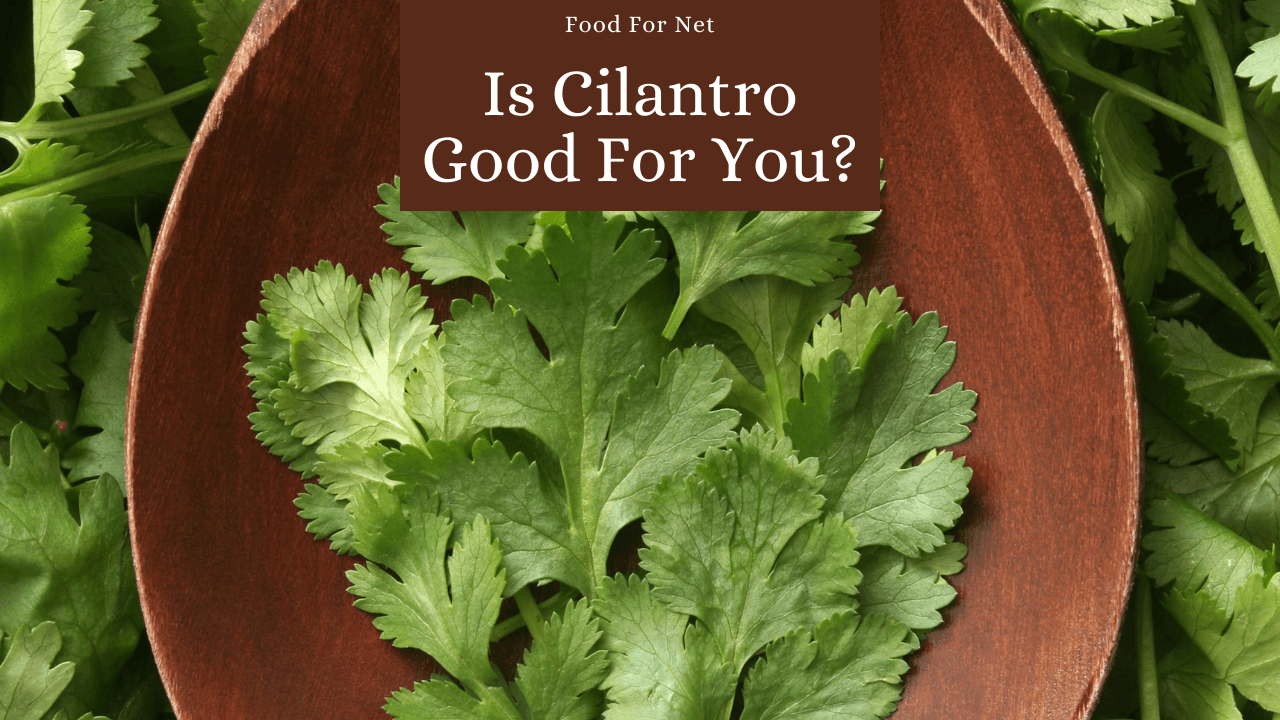 Is Cilantro Good For You? Food For Net