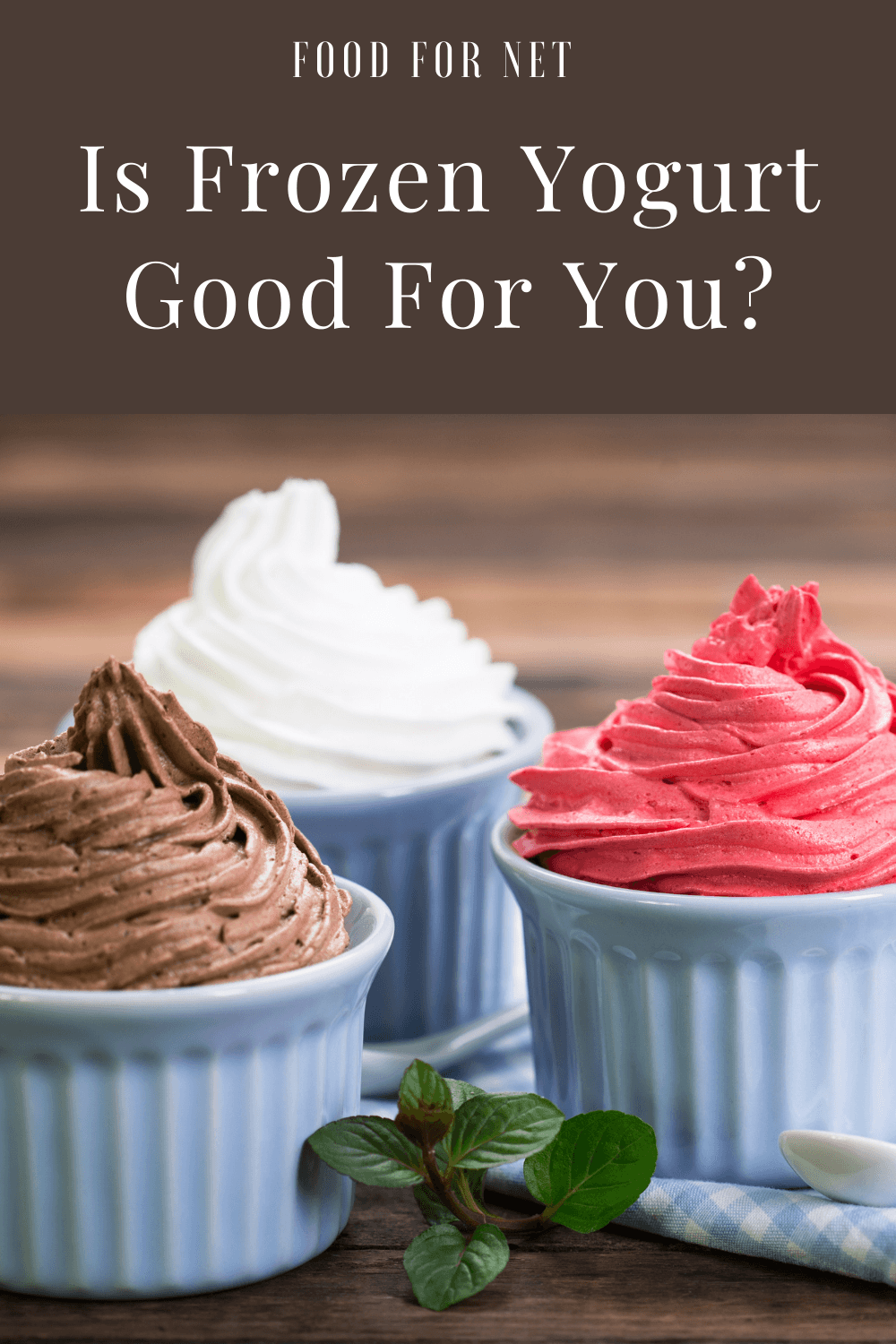 Is Frozen Yogurt Good For You? Three light blue containers with chocolate, vanilla, or raspberry frozen yogurt, looking at whether frozen yogurt is good for you