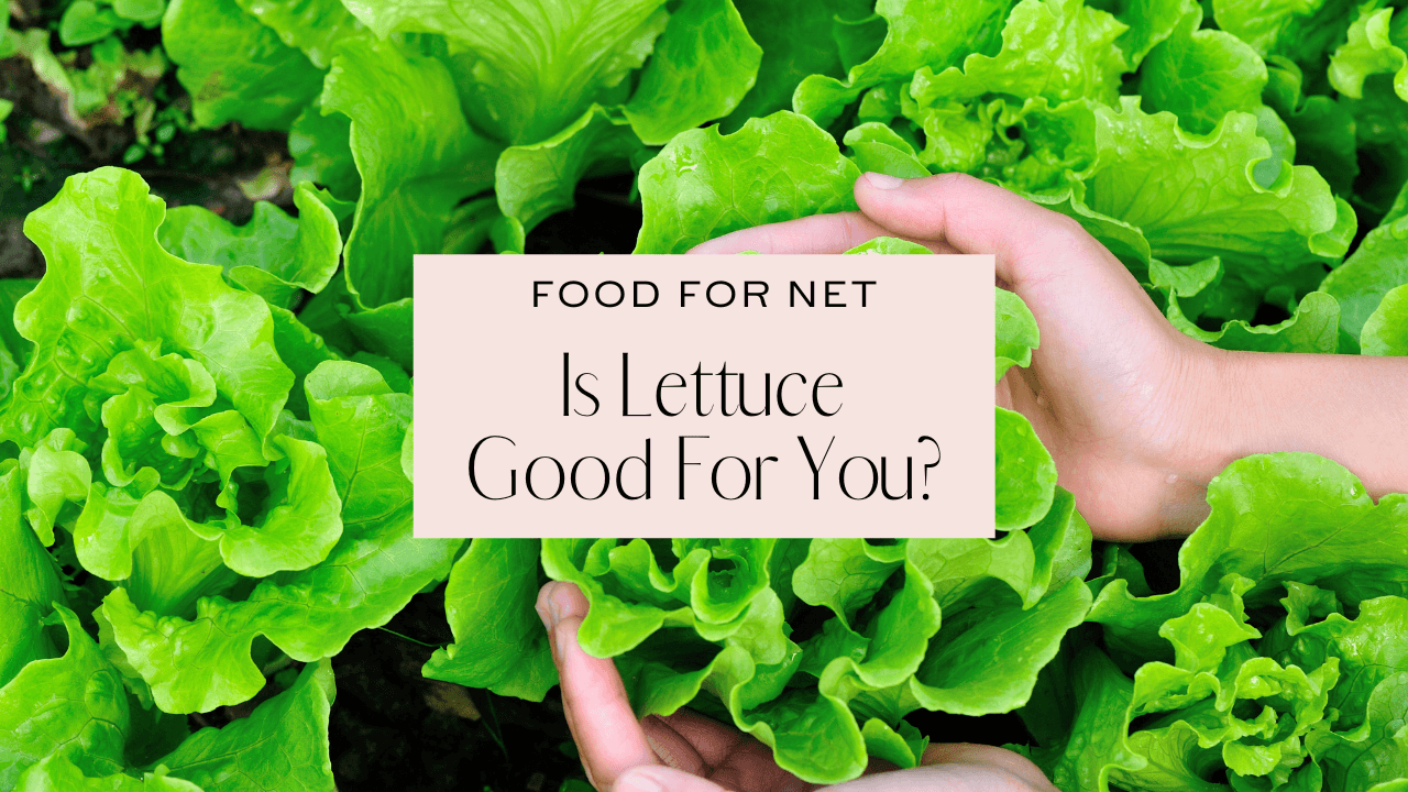 Is Lettuce Good For You Food For Net