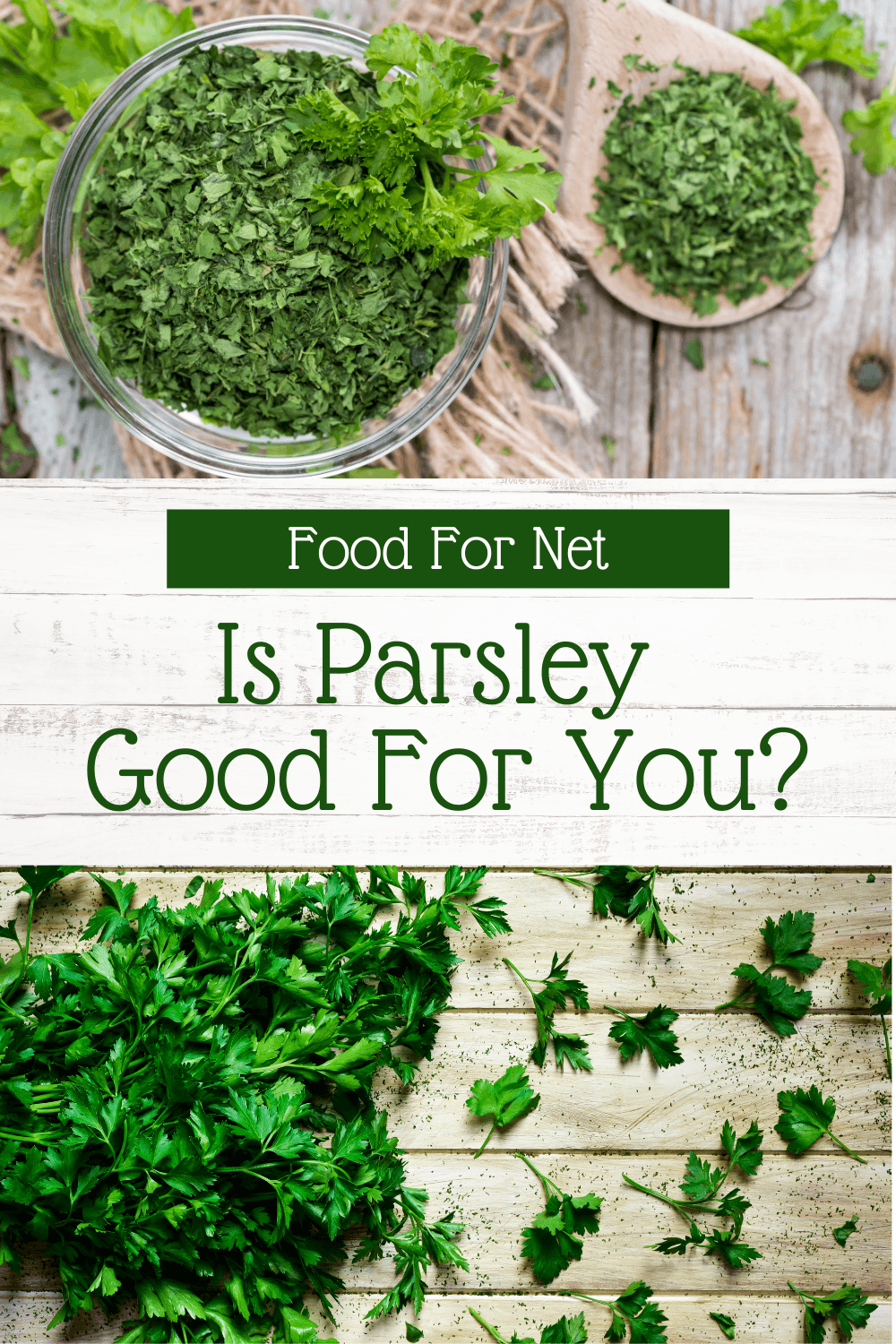 A selection of fresh parsley and some of dried parsley, looking at whether parsley is good for you