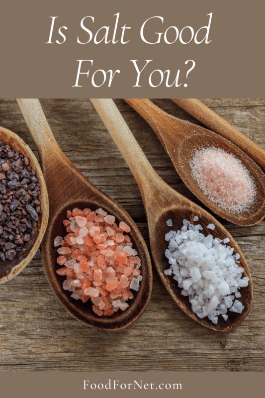 Is Salt Good For You? Food For Net