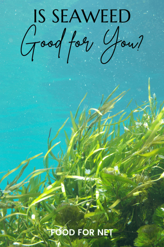 Is Seaweed Good For You? Food For Net