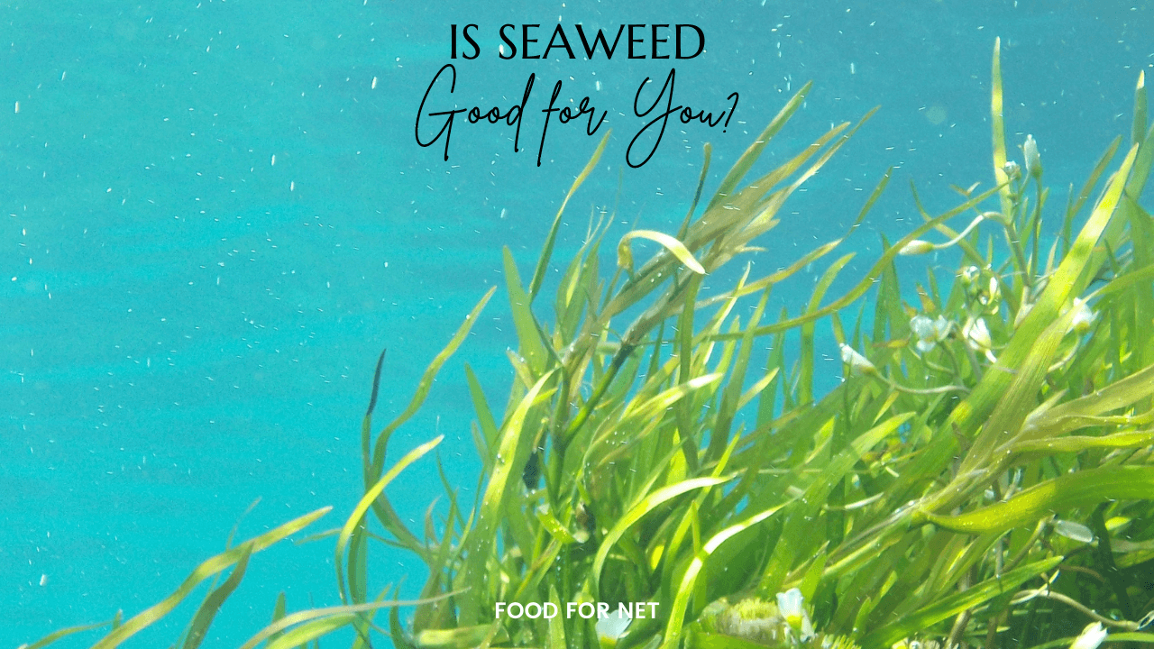 Is Seaweed Good For You? Food For Net