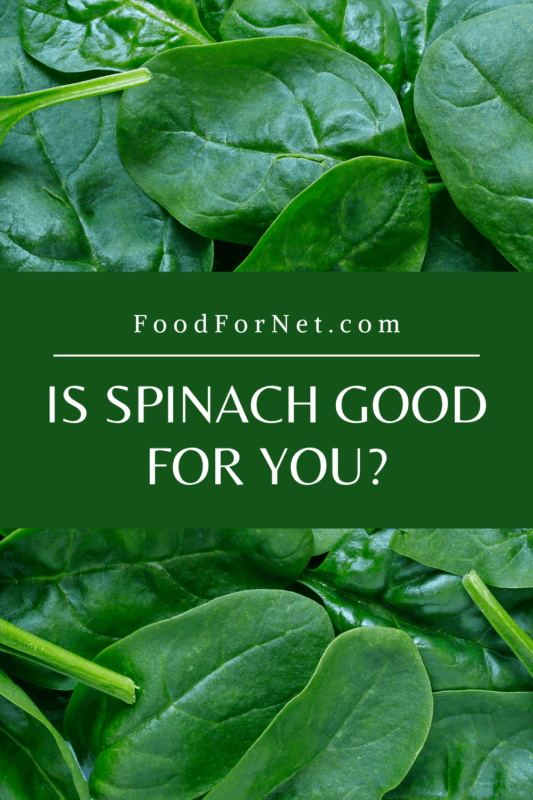 Is Spinach Good For You? Food For Net