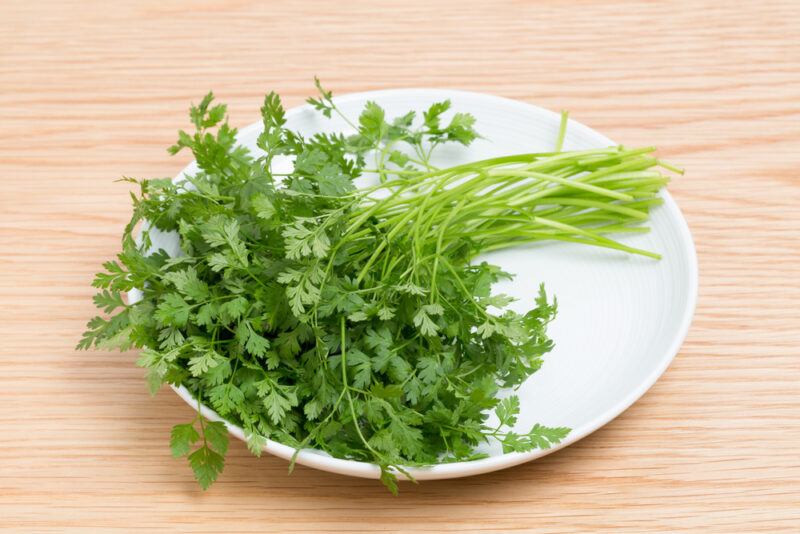 on a wooden surface is a white plate with a bunch of fresh Italian parsley