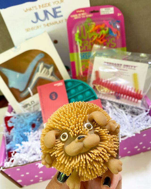 Top 9 Toy Subscription Boxes for Kids Food For Net