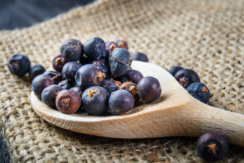 closeup image of a wooden ladle full of juniper berries resting on a burlap sack