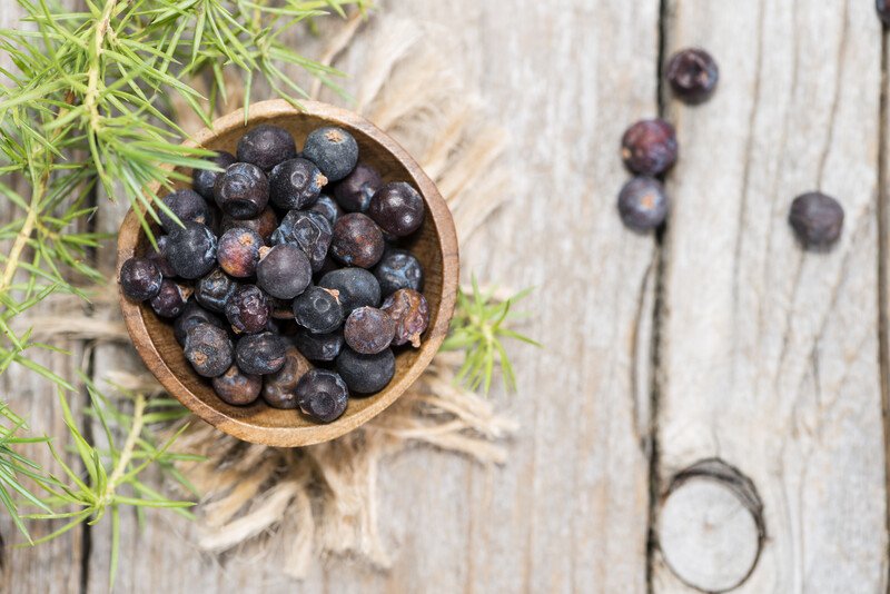 Wooden bowl full of juniper berries resting on a wooden table with herbs and loose juniper berries around it.