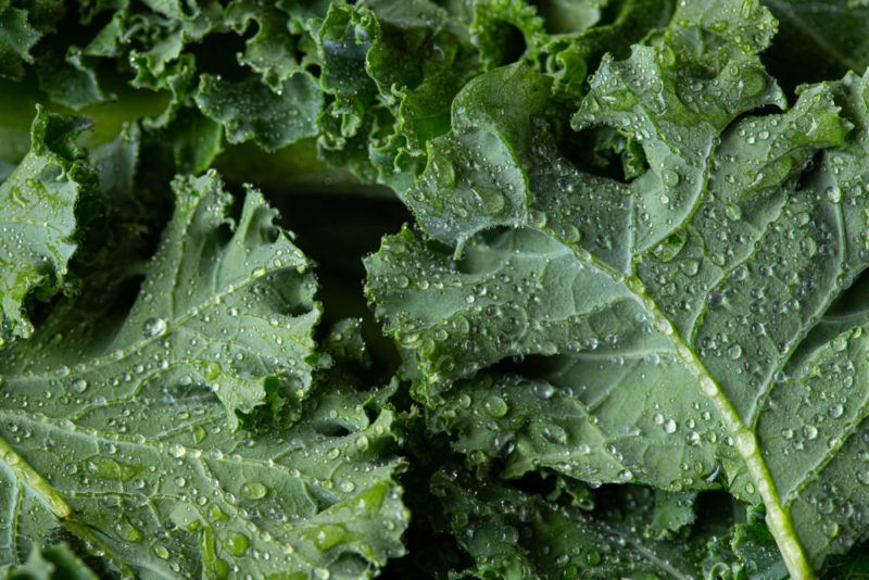 Kale leaves with water droplets