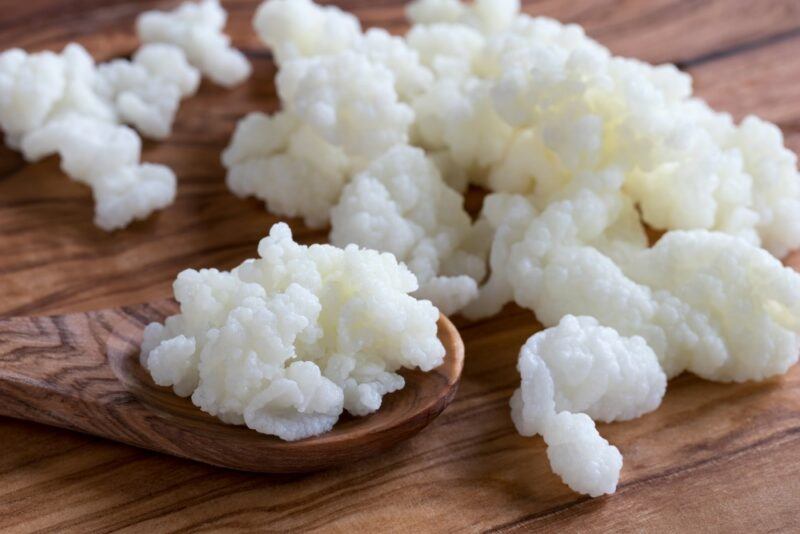 A wooden table with a variety of kefir grains, some of which are on a wooden spoon