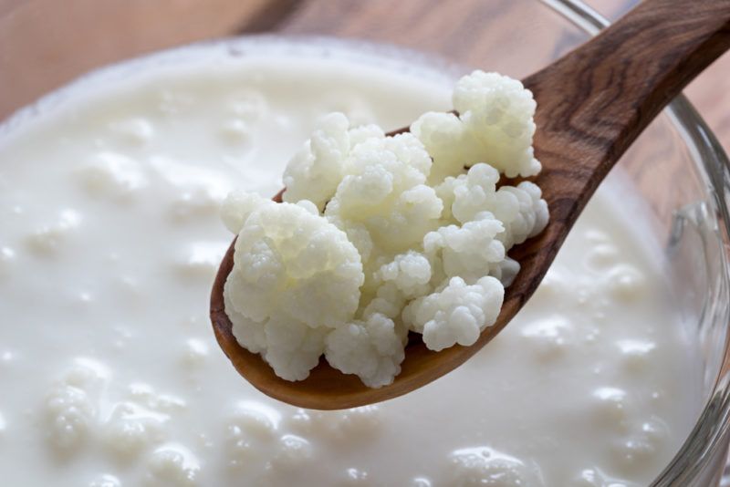 Kefir granules over a glass bowl