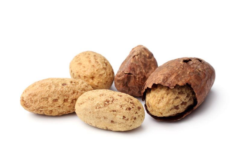 Kola Nut | Food For Net A few kola nuts isolated on white