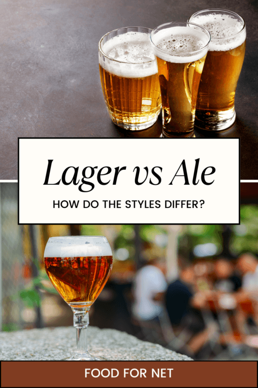Lager Vs Ale How Do The Styles Differ? Food For Net