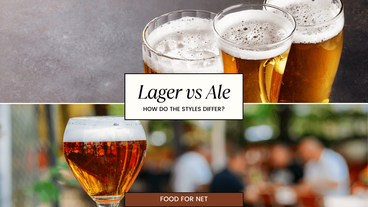 Lager Vs Ale How Do The Styles Differ? Food For Net