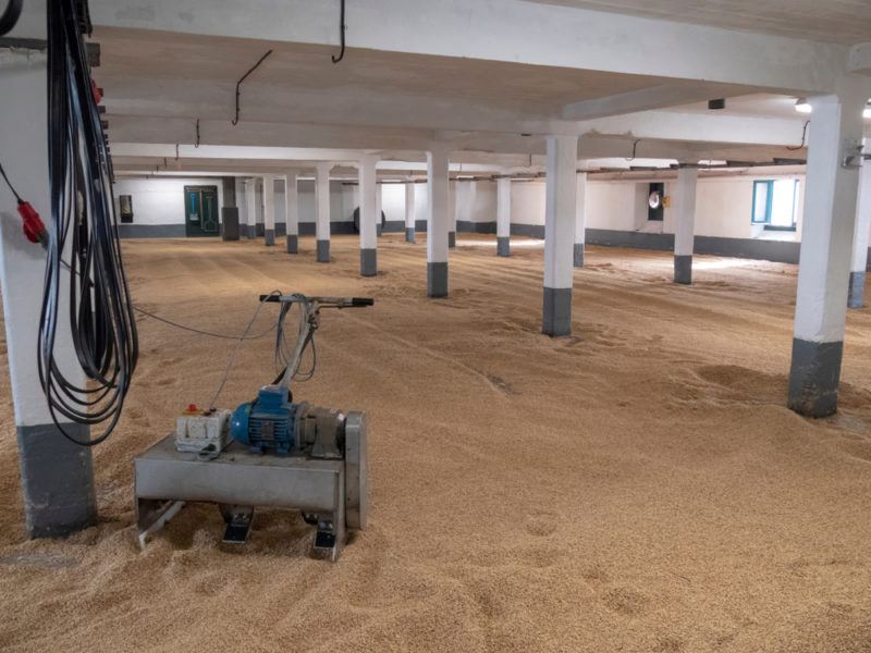 Laphroaig distillery floor malt