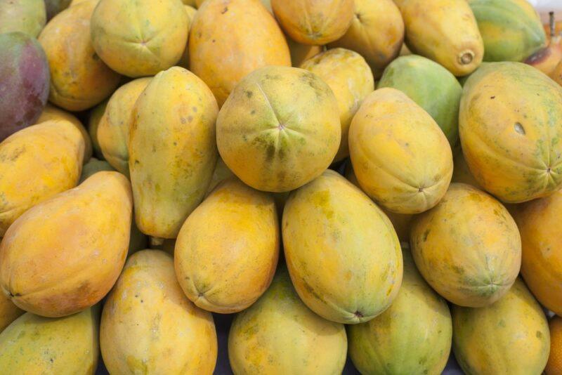 A large pile of mountain pawpaw fruits, all stacked on top of each other