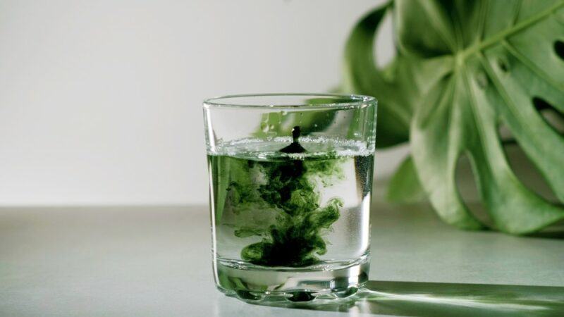 A glass of water with natural green food coloring made from leaves