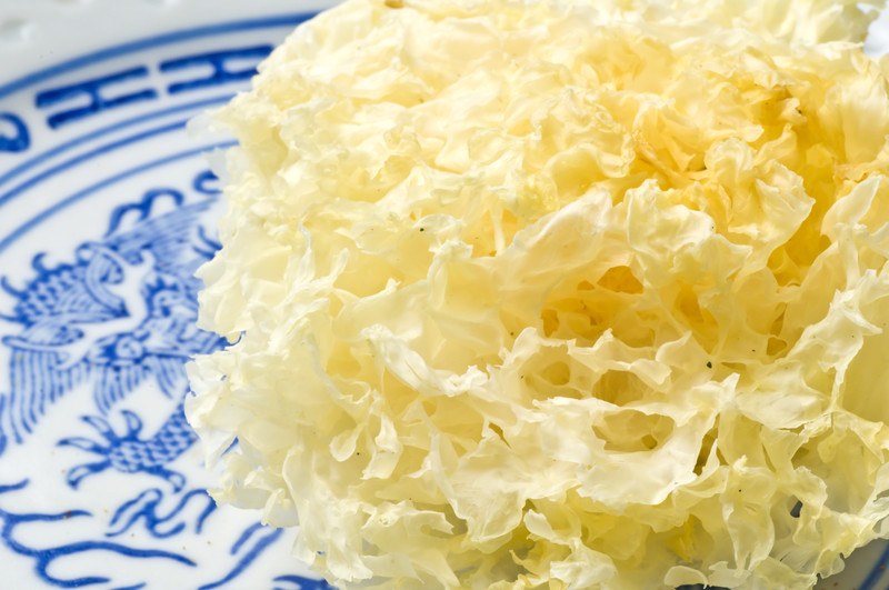 A pale yellow Lion's Mane mushroom sit on a blue and white plate.