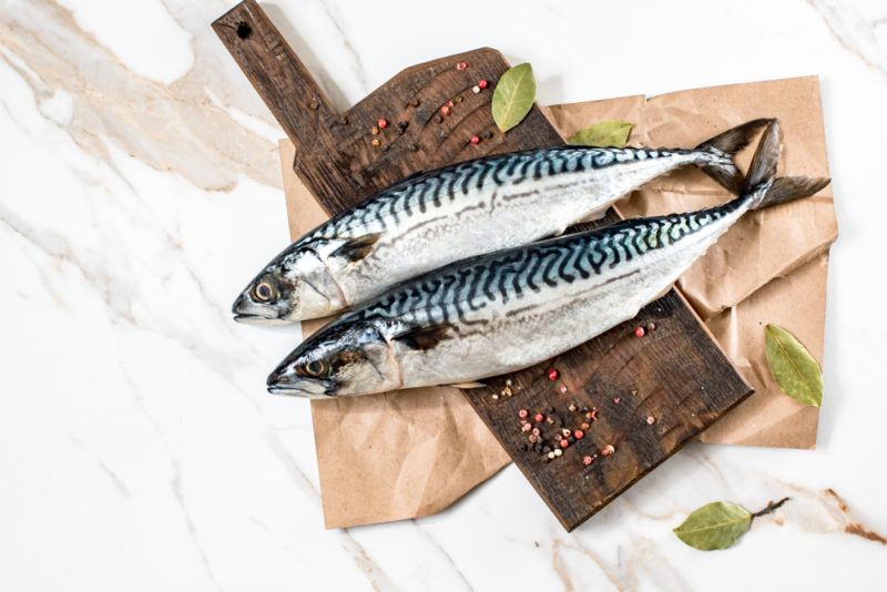 Two fresh mackerel on a wooden board that is on a white table