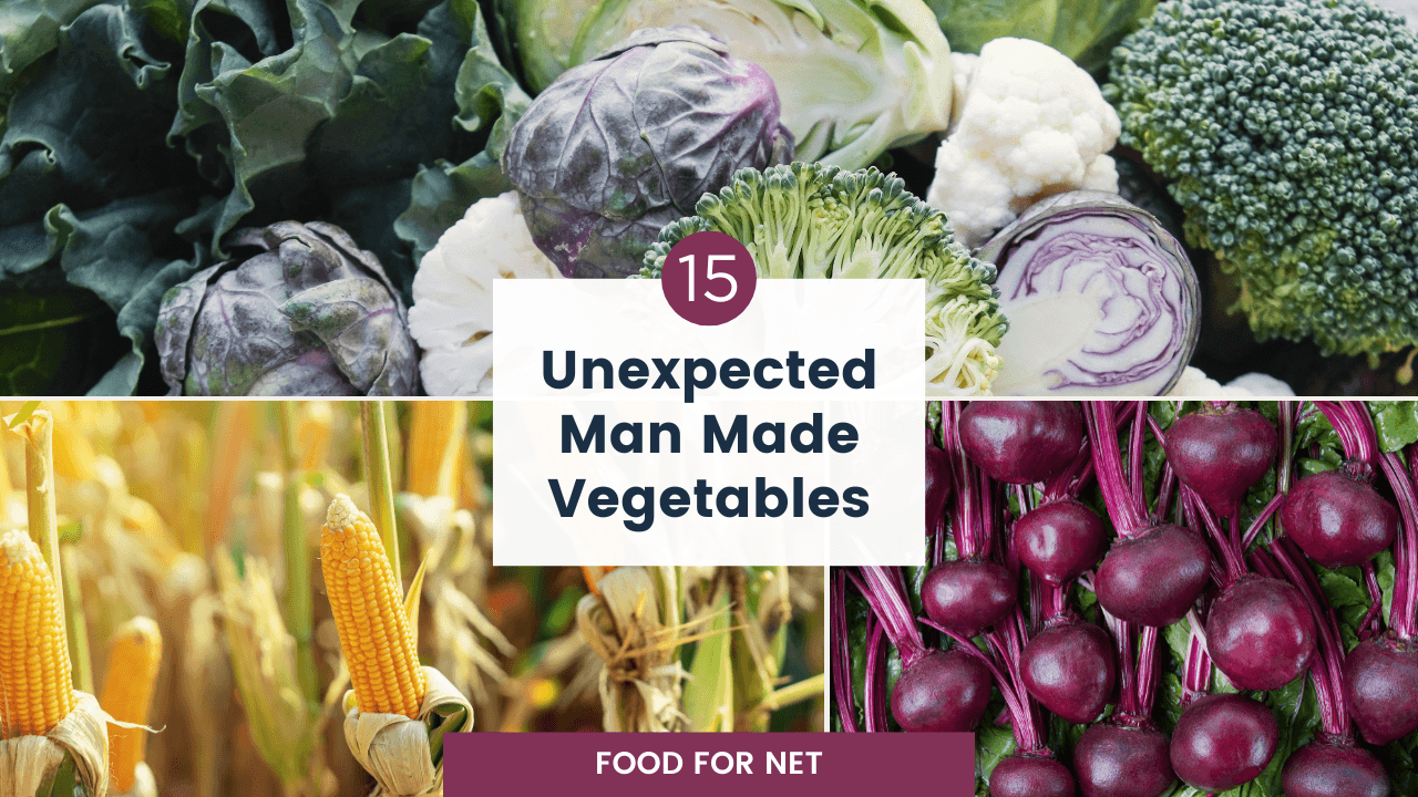 15 Unexpected Man Made Vegetables Food For Net