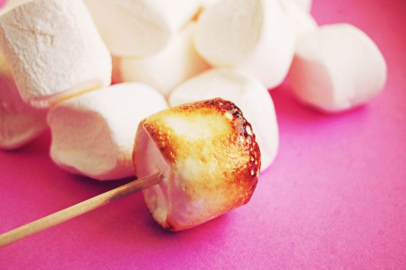 A collection of marshmallows on a pink background. One has a stick in it and is toasted