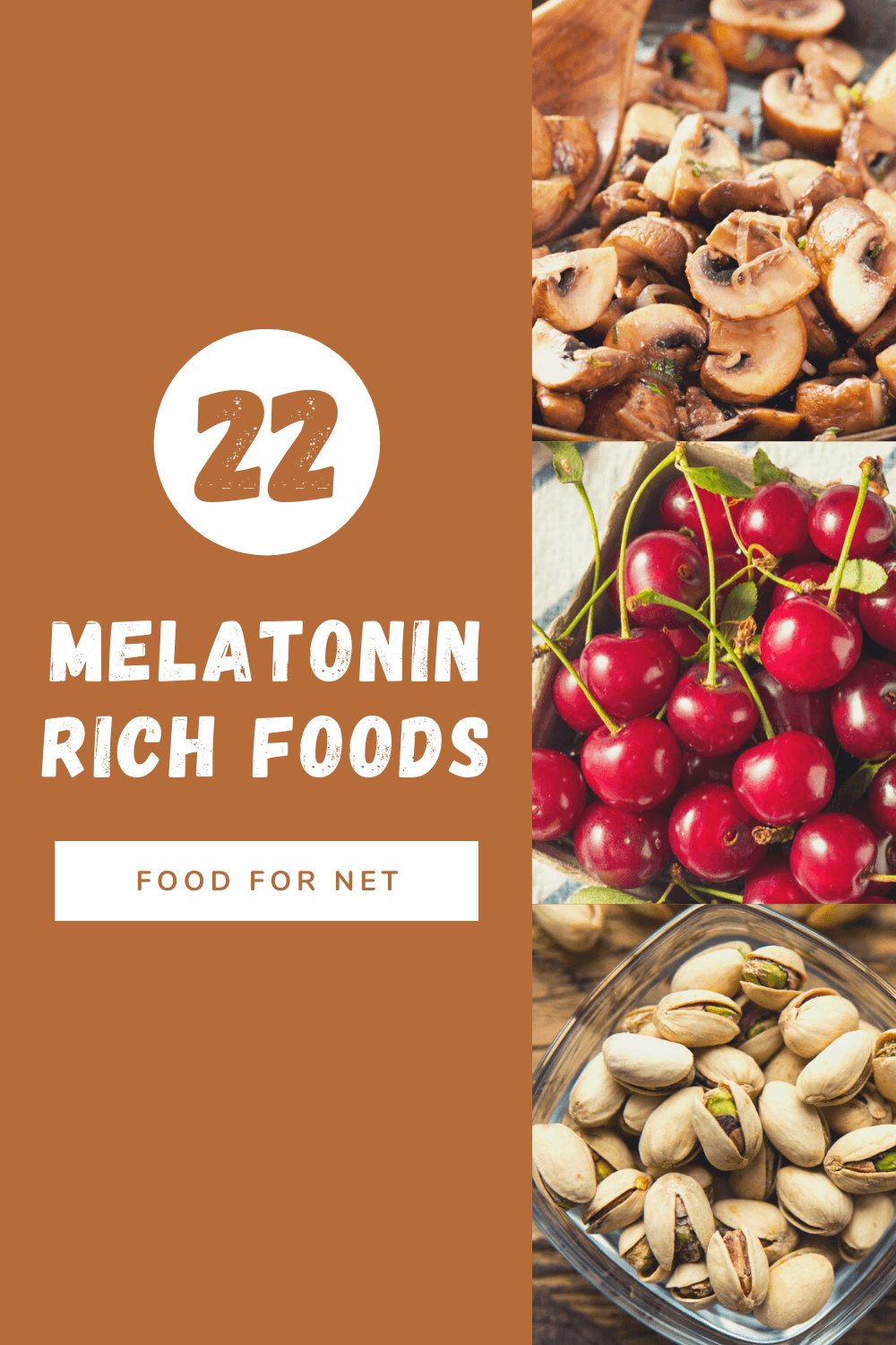 A selection of three types of melatonin rich foods, including mushrooms, tart cherries, and pistachios