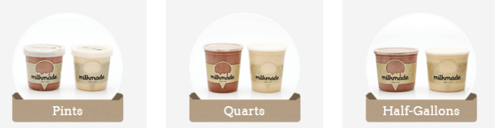 A selection of chocolate and vanilla ice cream