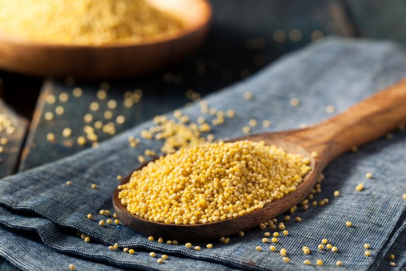 A wooden spoon with millet seeds on a gray cloth, with a bowl of the seeds in the background