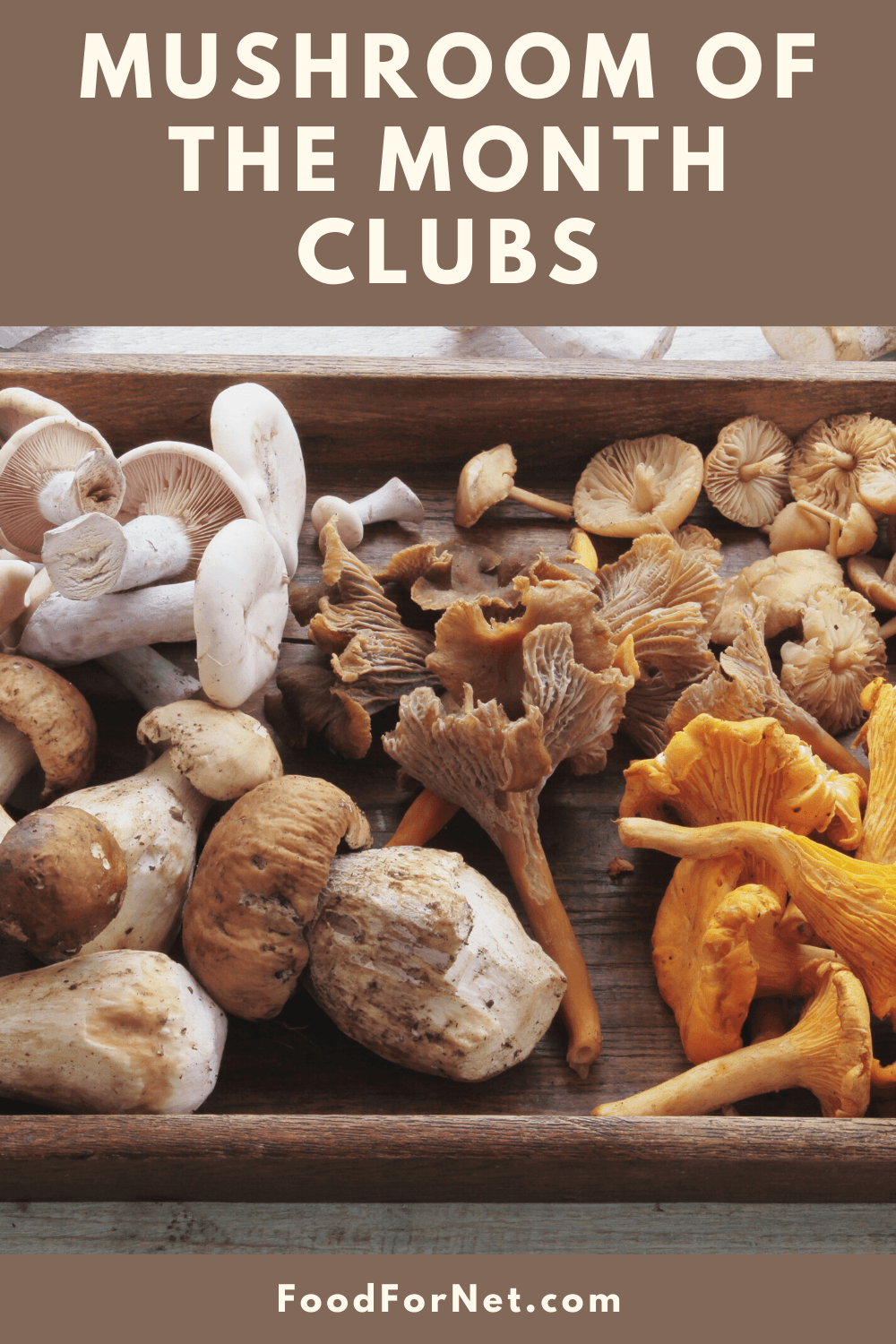 A wooden tray containing various types of mushroom