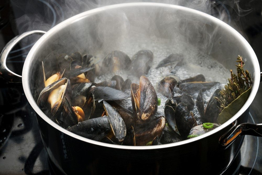 Are Mussels Good For You? Food For Net