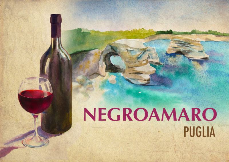 Negroamaro Wine