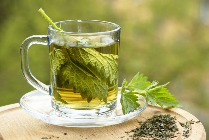 A tall glass mug of tea with a nettle leaf, with another fresh nettle leaf next to it