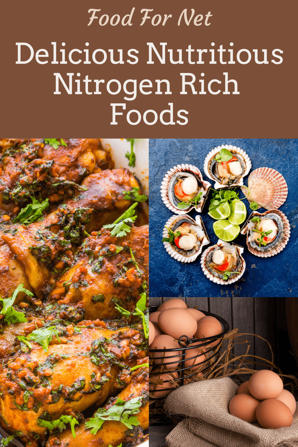 Three types of nitrogen rich foods, including chicken, shellfish and eggs