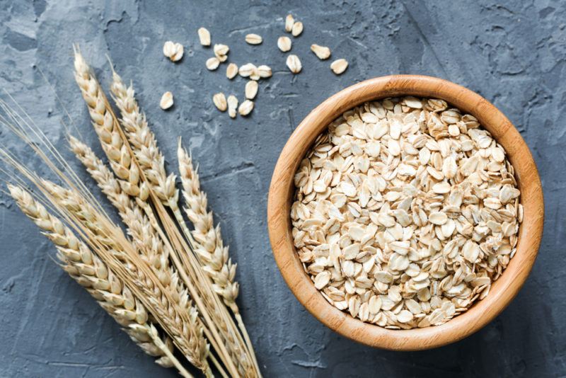 A bowl of oats next to the plant